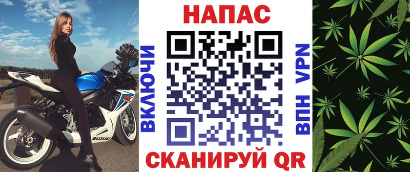 Бошки Шишки планчик  Химки 